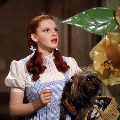 Ask Amy: I want to date a woman who understands ‘The Wizard of Oz’